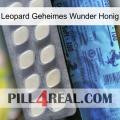 Leopard Secret Miracle Honey 34